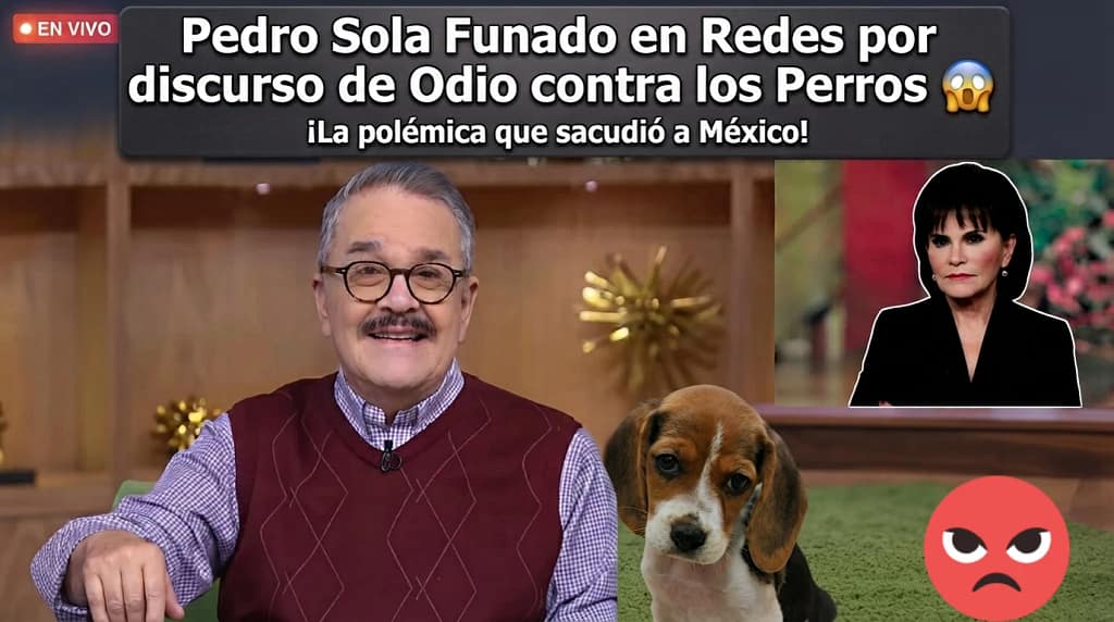 Pedro Sola de Ventaneando es Funado en Redes 4 Pedro Sola en redes, funado por discurso de odio contra perros.